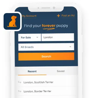 Forever Puppy app screenshot